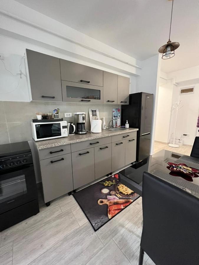 Apartament Intr-O Zona Rezidentiala Linistita Ιάσιο Εξωτερικό φωτογραφία